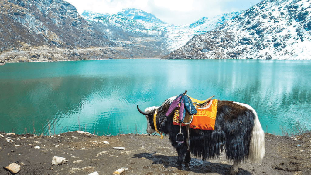Tsomgo lake - places to visit in scenic Sikkim