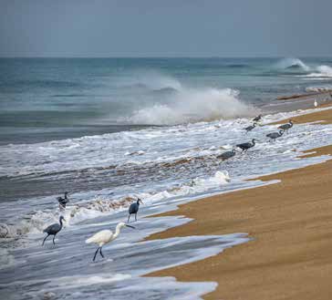 Madhavpur Beach Perfect Beachside Vacations in Gujarat