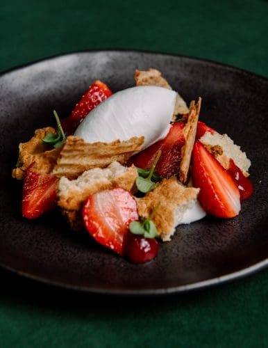 Go vegetarian with Ovolo Hotels' vibrant global launch - ‘Plant’d ...