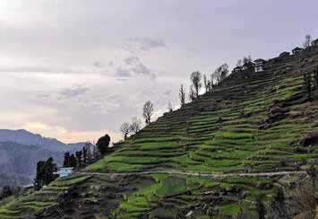 Thachi Valley Trek