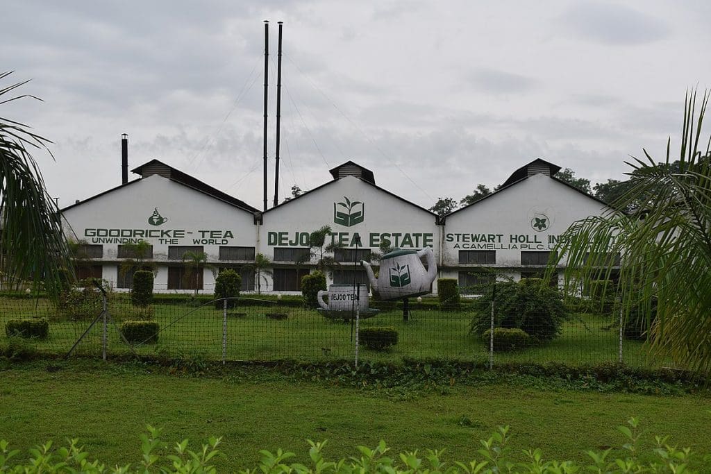   Destinations to celebrate your cup of Tea - Tea estates, Assam 