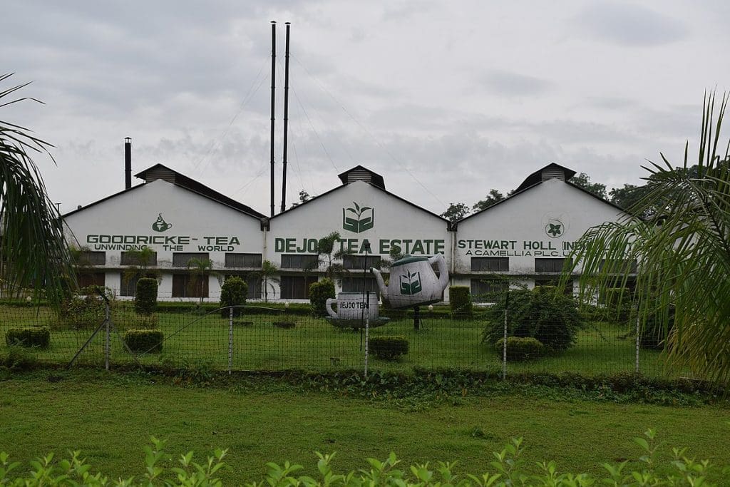  Destinations to celebrate your cup of Tea - Tea estates, Assam 