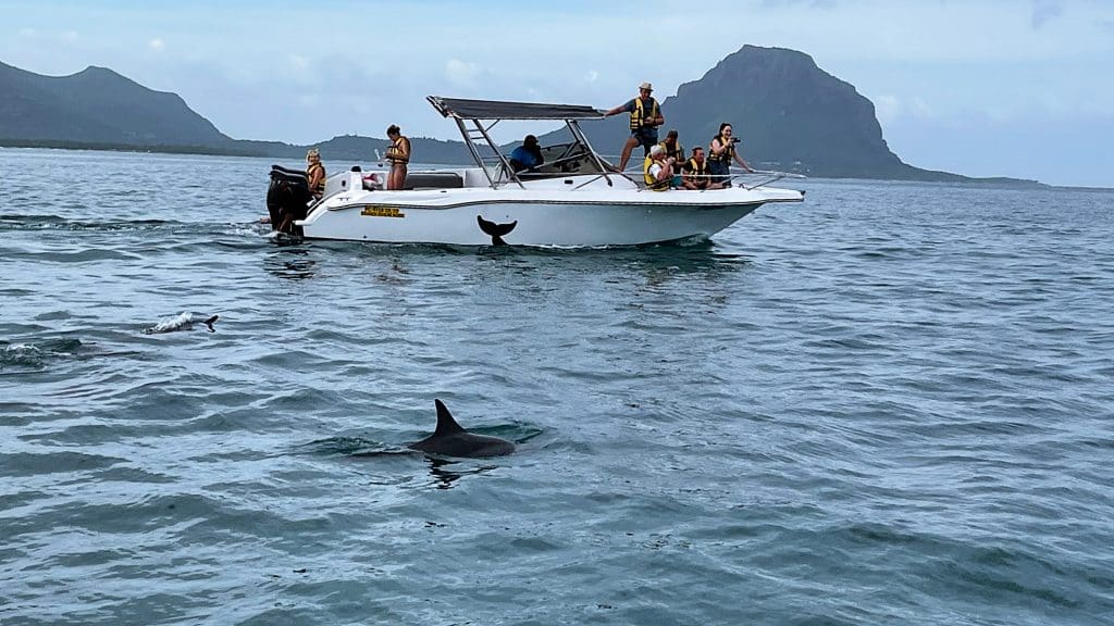 Sea salt harvesting in Mauritius - Dolphin watching