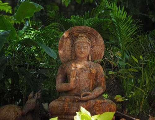 Svanir Wilderness Homestay amidst 1000 trees and wonderful tribal Santal lifestyle 1 Svanir Wilderness Homestay