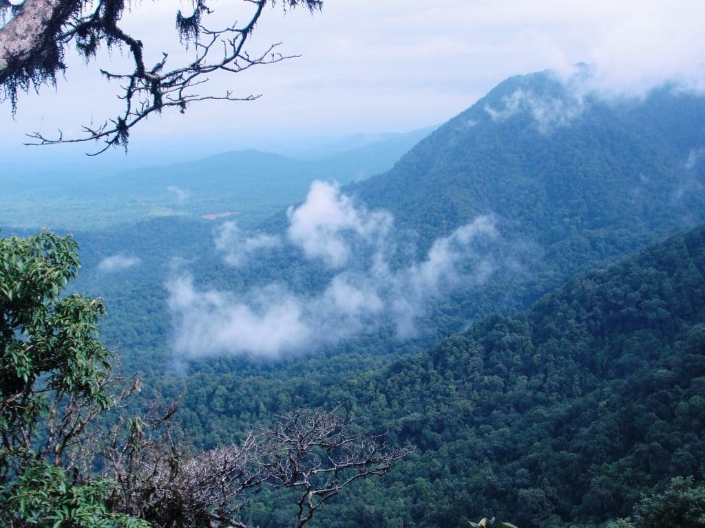 Monsoon Holiday Magic Agumbe Viewpoint Pix credit: Shashidhara Halady -