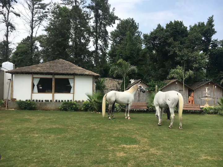 Farm stays and Tree houses