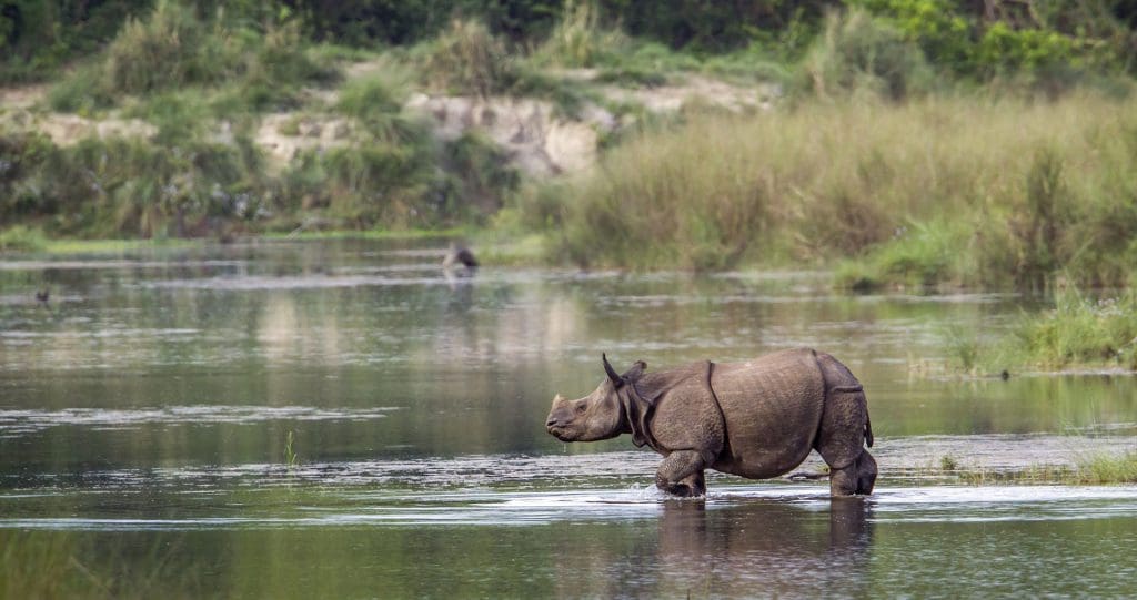  Biodiversity hotspot Assam  - Kaziranga National Park