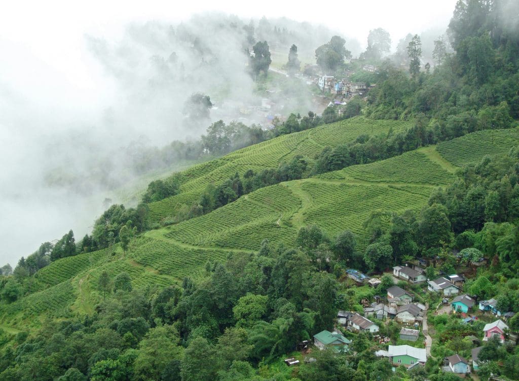 Monsoon Holiday Magic Darjeeling Pix credit: Joydeep 