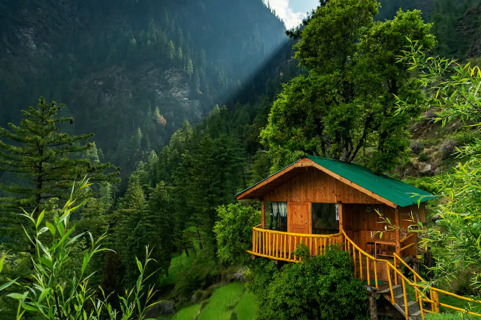 Farm stays and Tree houses