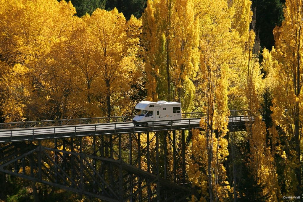  New Zealand - Arrowtown - Queenstown PC_ David Wall 