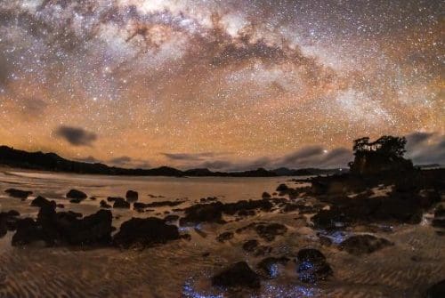Stargazing in New Zealand- Great Barrier Dark Sky PC Mark Russell