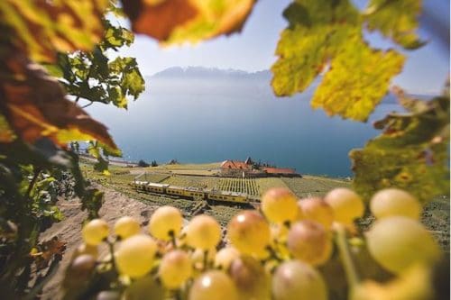 Suiza 1 No te pierdas la hermosa Temporada Dorada de Suiza: 7 lugares capturados a través de la lente