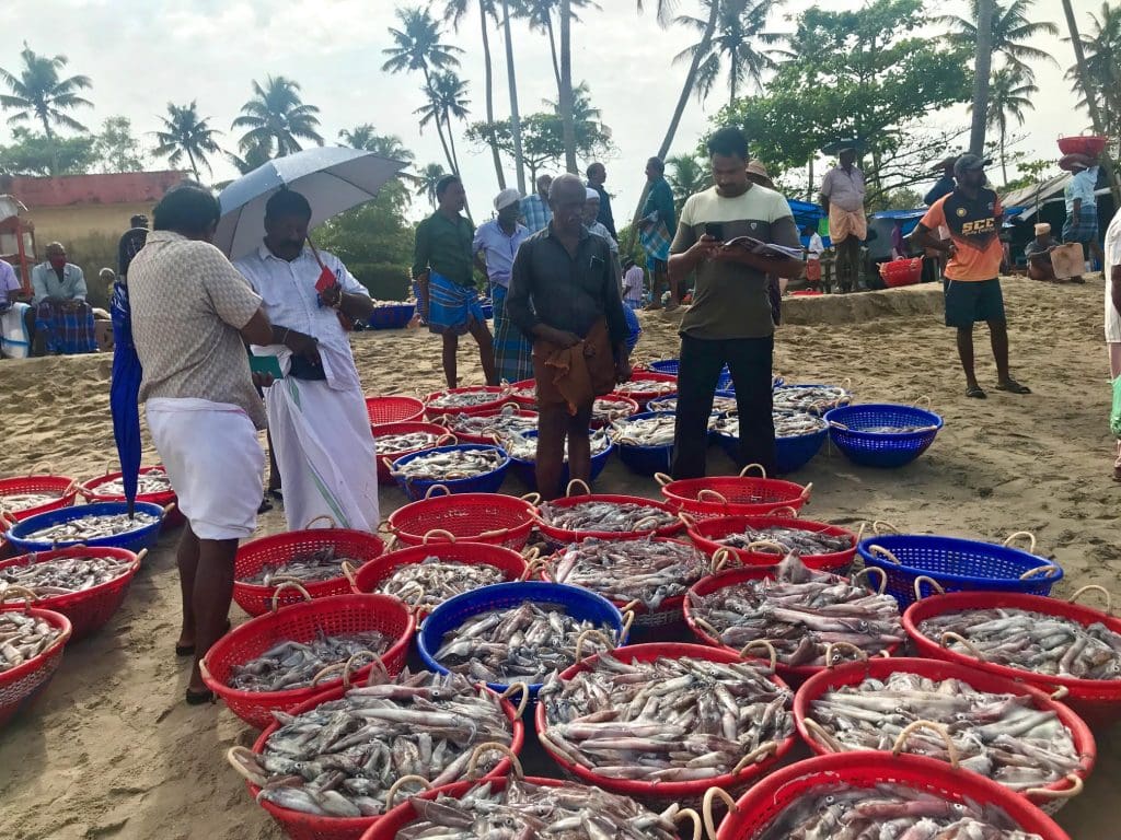 Kerala curated: a special 25-year journey of love, life and chawal 12 DAILY-AUCTIONING-FISHERMEN-SPEND-THE-NIGHT-FISHING-THE-CATCH-IS-THEN-AUCTIONED-EARLY-MORNING