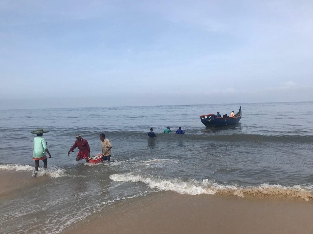 Baskets-of-Fish-being-pulled-out-from-boats