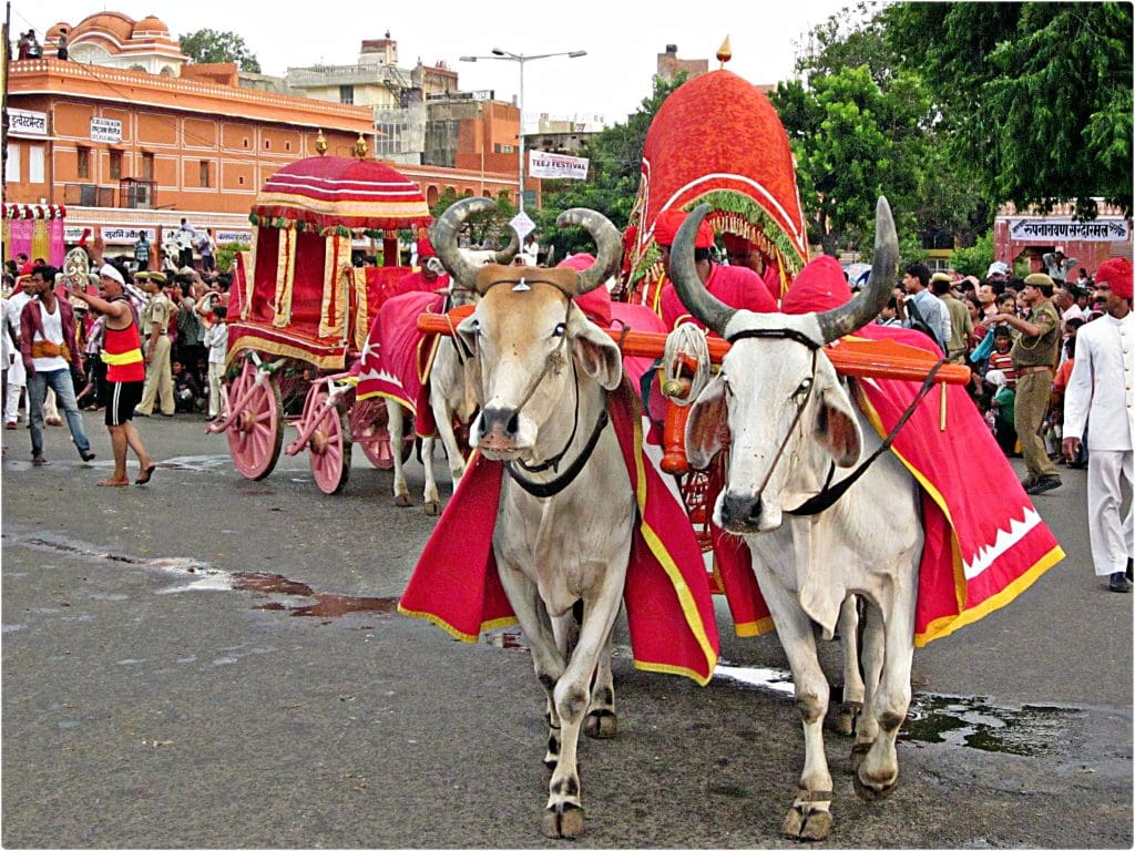 Spectacular Fairs and Festivals - Teej festival