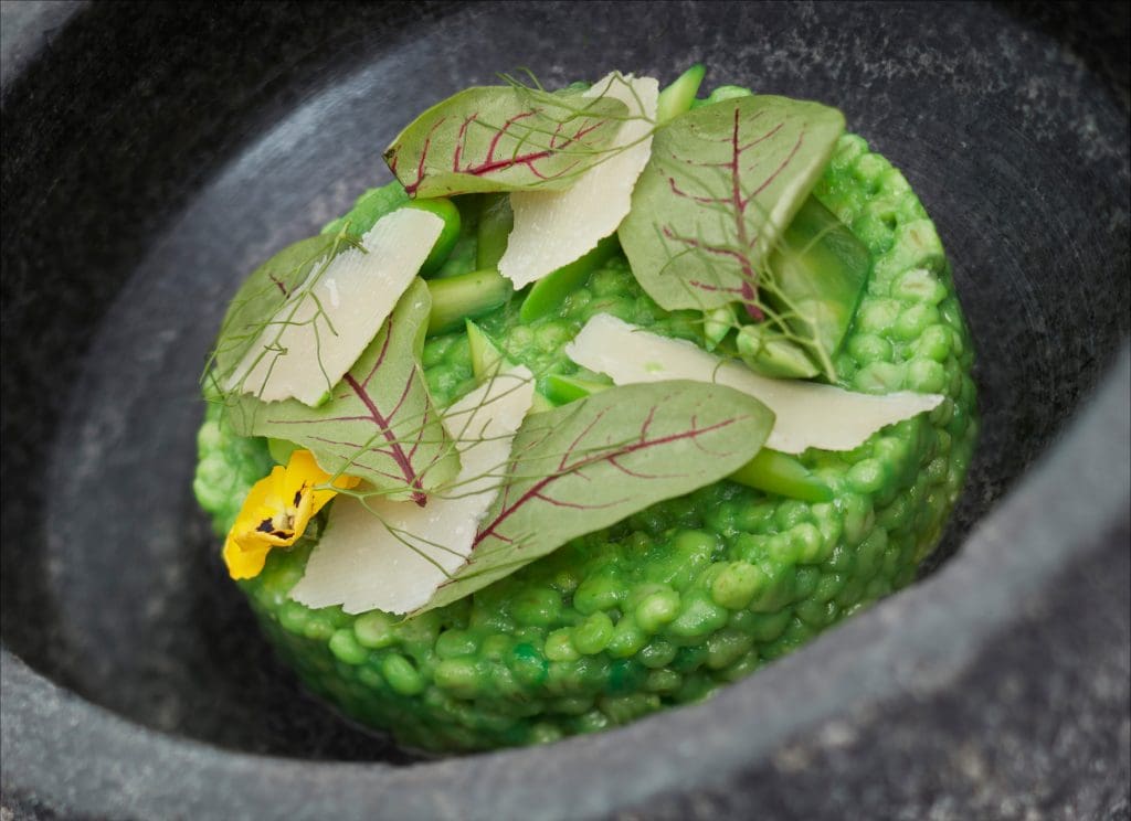 Rich culinary heritage on World Vegan Day on Nov 1 and your health benefits 14 World Vegan Day