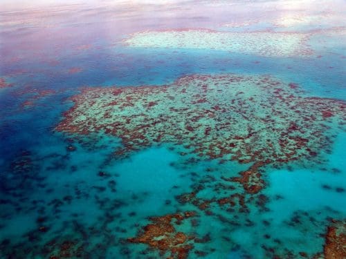   Natural wonder of the world - Great Barrier Reef