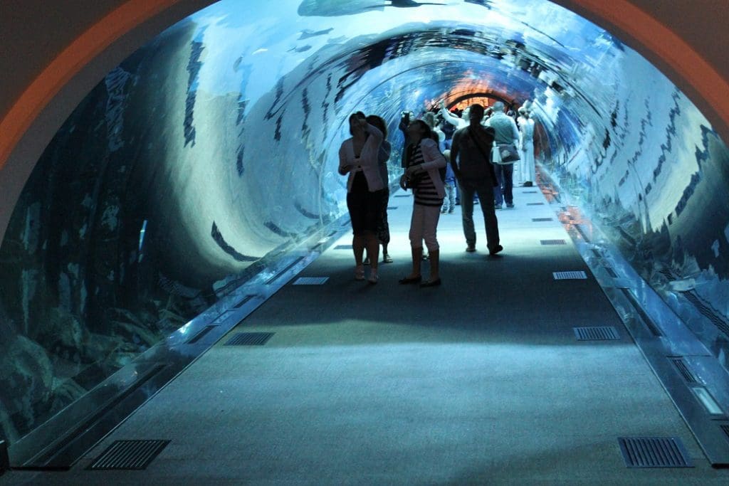Acuario y zoológico submarino de Dubái