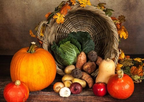 Thanksgiving Basket Vegetables Pumpkin Autumn 1768857 All things pumpkin - just in time for festive Thanksgiving!