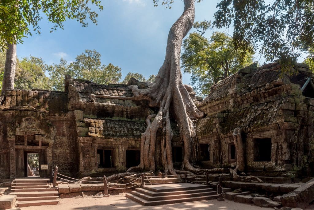 Angkor, Siem Reap, Cambodia: Tha Prom Temple