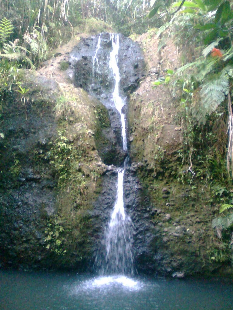 The biggest waterfall in Colo-i-Suva Forest Reserve