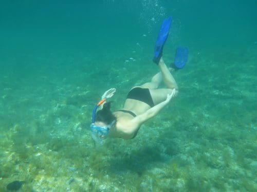 Diving Sea Water Snorkeling Nature Beach 2293357 Scuba diving in Goa - 8 best diving places to discover the wonders of the sea