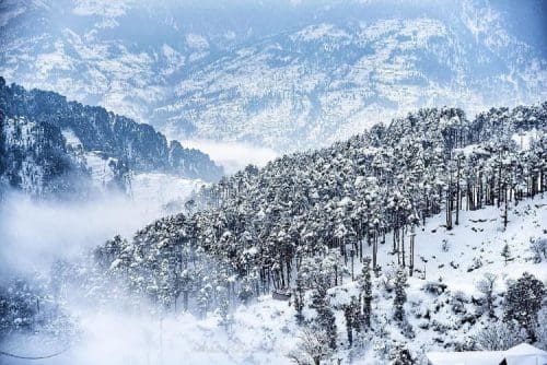 Hidden gem Patnitop: 5 must-visit places for travellers on a trip to ...