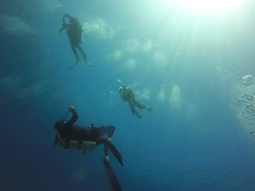 Scuba Diving in Goa