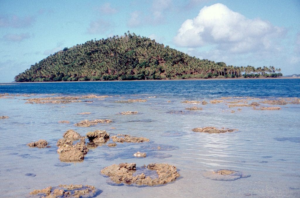 Boulders of coral limestone and palm-covered Yanuyanu Island
