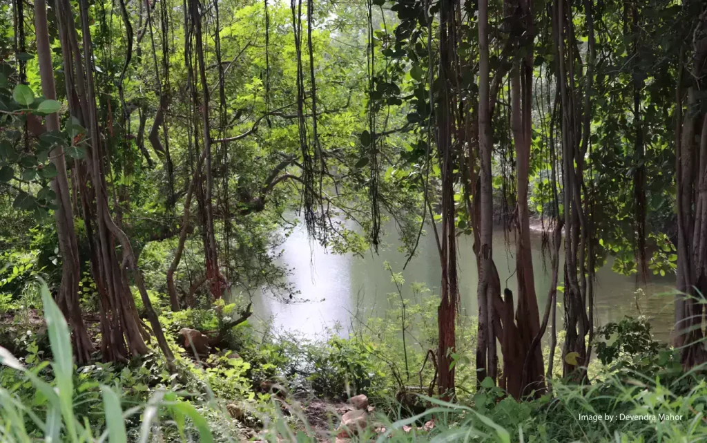 Kuno National Park Image courtesy: Devendra Mahor