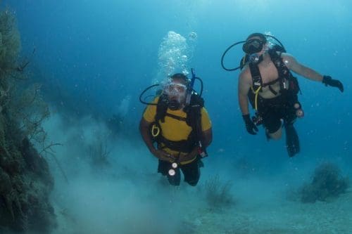 preview16 5 Scuba diving in Goa - 8 best diving places to discover the wonders of the sea