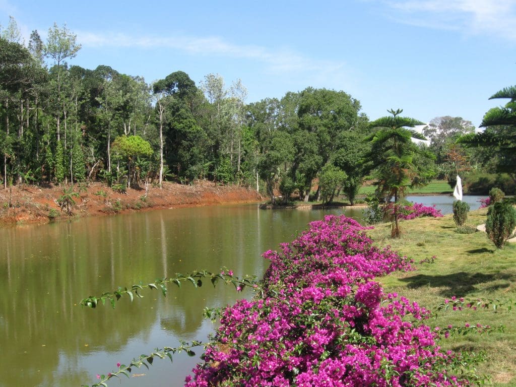 Vasalurpatti Boat Jetty, Kolli Hills, Tamil Nadu Image courtesy Karthickbala via Wikipedia commons