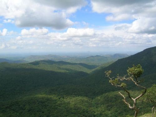Los bosques y las montañas de Madumalai son ideales para hacer senderismo.  Imagen cortesía de Wikipedia Commons