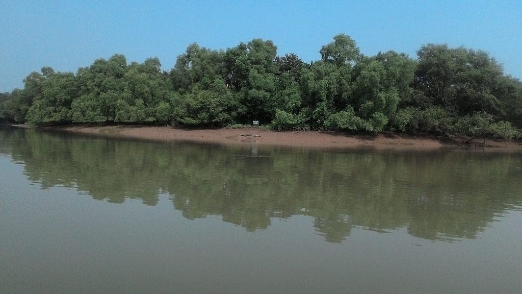 Bhitarkanika Wildlife Sanctuary Image courtesy Arka talapatra via Wikipedia Commons