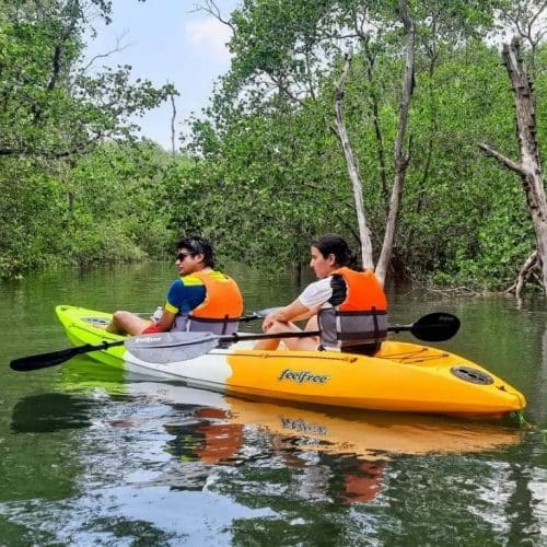 Kayaking - Goa