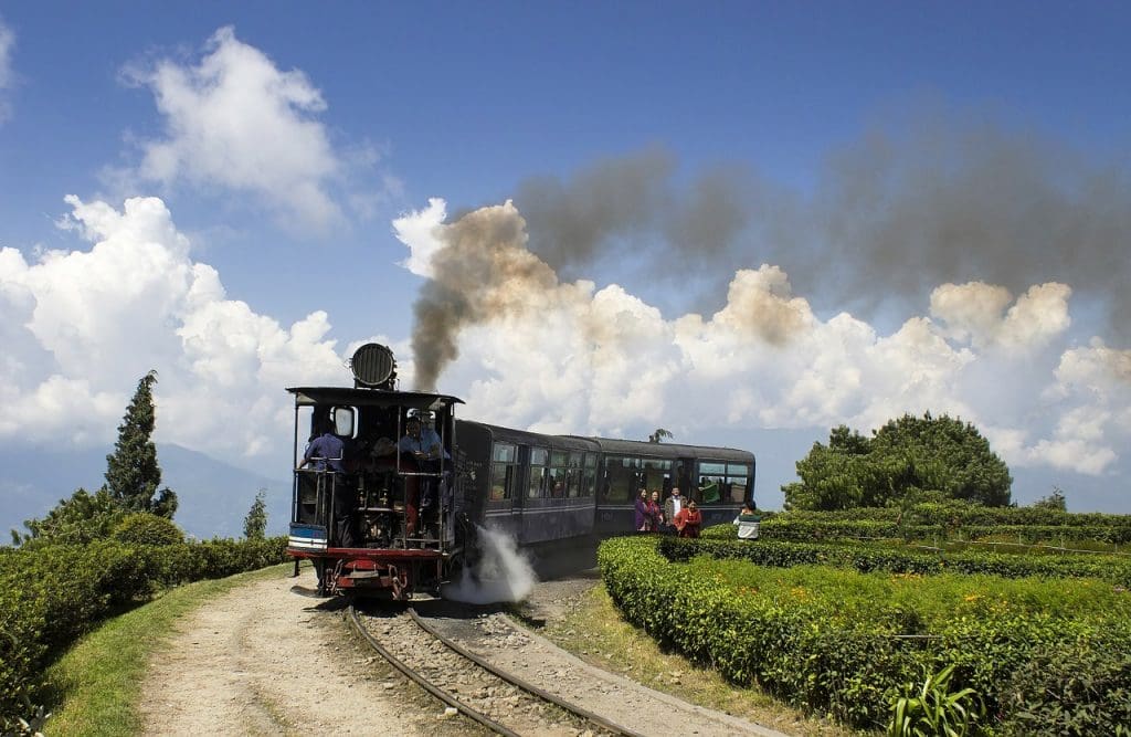  Tea gardens in India - Toy Train  in Darjeeling
