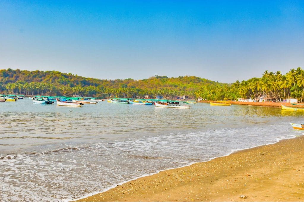Playa - Goa
