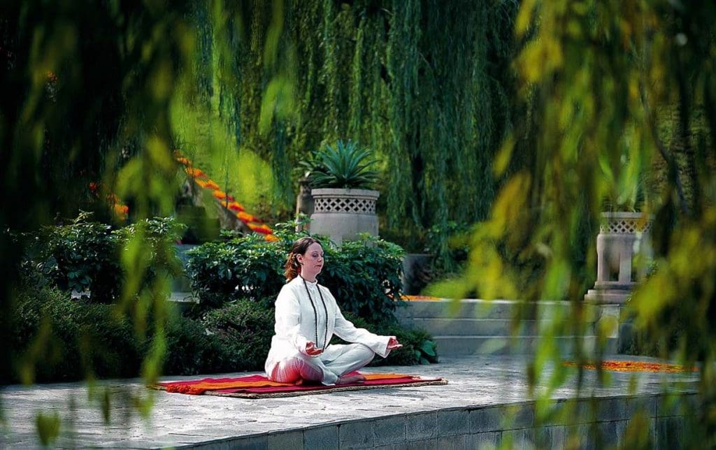 Ananda in the Himalayas India