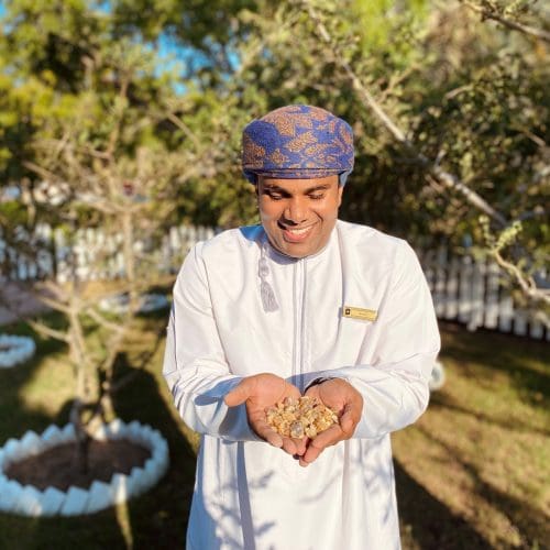 Khalid-Al-Amri-Frankincense-Sommelier-of-Shangri-La-Muscat-at-Frankincense-garden-with-frankincense-in-its-original-form