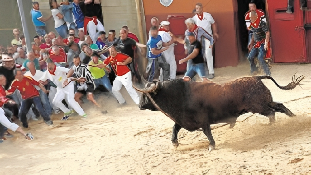 Pamplona bull run, Spain, Pamplona