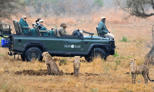 Fauna en Sudáfrica