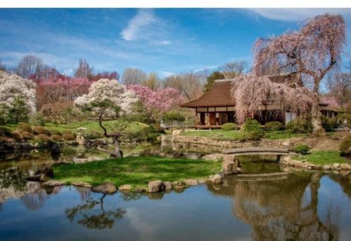 5 places to visit in Philadelphia in the beautiful Spring season 1 Photo by Sean Marshall Lin for PHLCVB (Philadelphia Convention & Visitors Bureau)