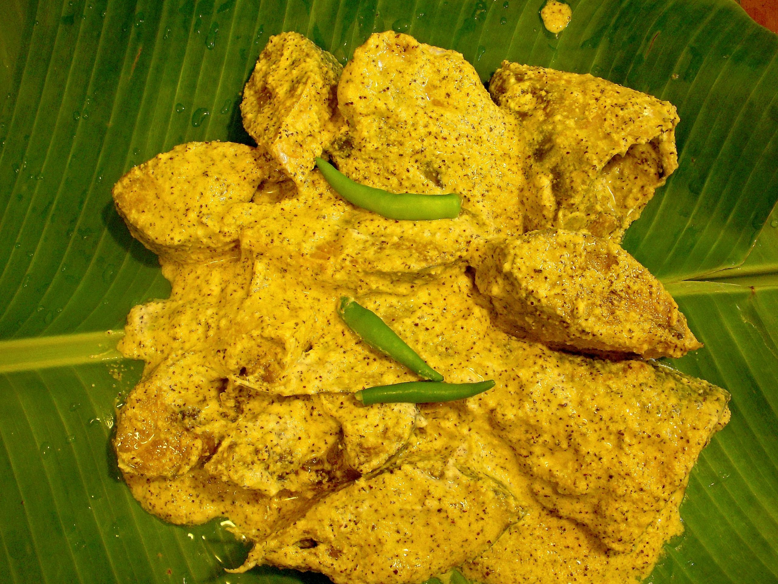 3899796535 608f7855f4 o edited scaled 9 delicious Ilish dishes - the coveted fish that Bengal swears by