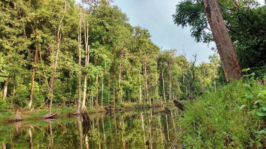 Bhagavathi Nature Camp is in the foothills of Kudremukh, Karnataka. Image credit Rashmi Sreenivasa via Wikipedia Commons