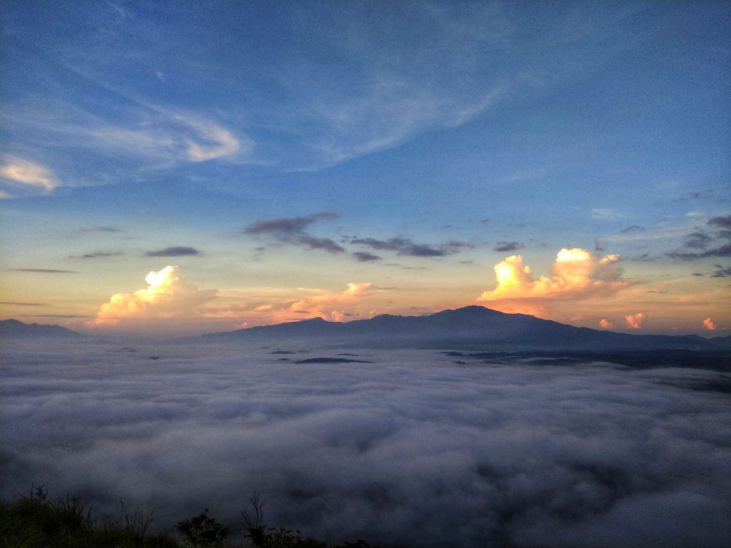 Wayanad district, Kerala, India. Image credit Thameemkottayil via Wikipedia Commons