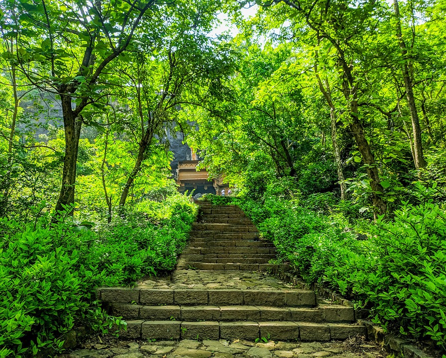 Steps leading to the Rajmachi Fort  Maharashtra 