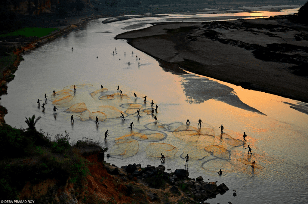 Style of Indian Fishing’ by Deba Prasad Roy, taken in a village in West Bengal, India, was Highly Commended in the Bring Home the Harvest category