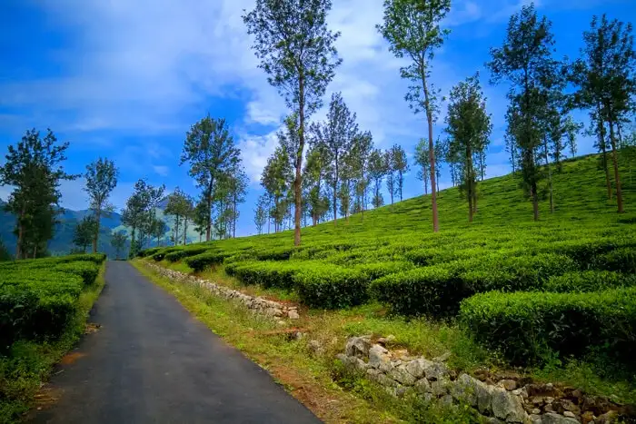 Wayanad Kerala