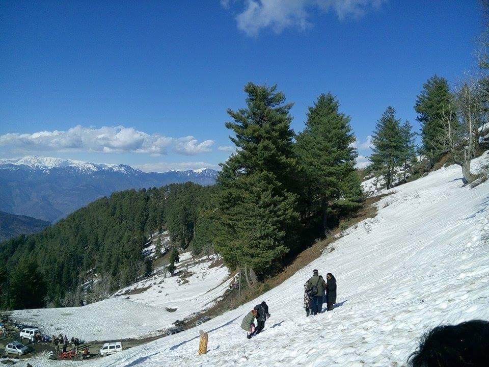 Peak of Natha Top Image Courtesy Its sumit sharma via Wikipedia Commons