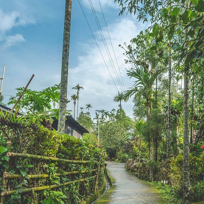  Beautiful Villages -  Street in Mawlynnong
